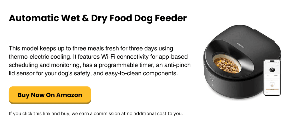 Automatic Wet & Dry Food Dog Feeder