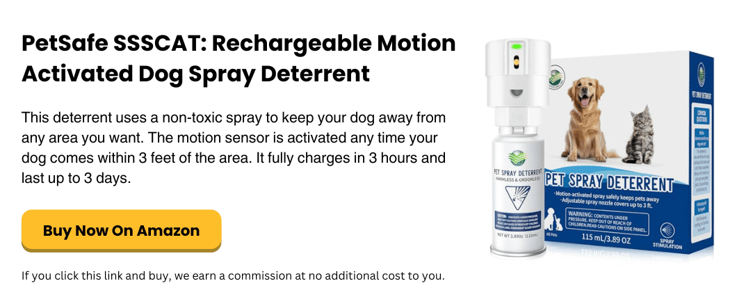 PetSafe SSSCAT Rechargeable Motion Activated Dog Spray Deterrent