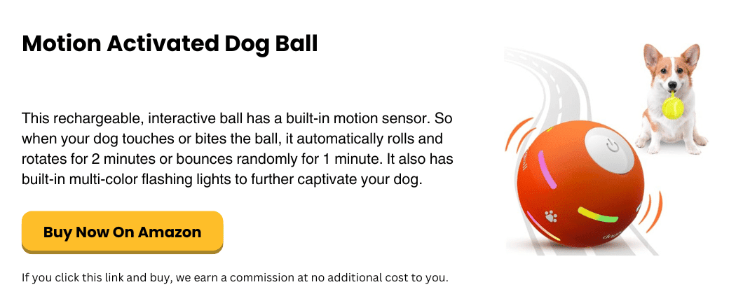 motion activated dog ball