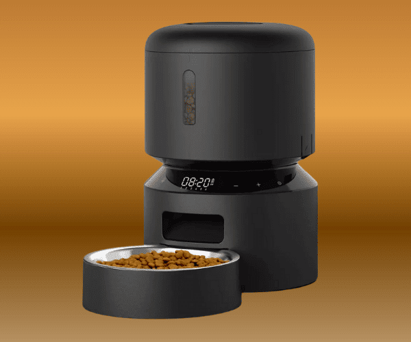Smart automatic dog feeder with digital display and stainless steel bowl for pet feeding
