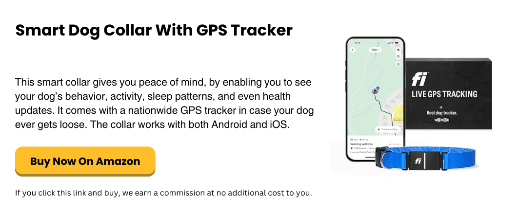 smart dog collar with gps tracker