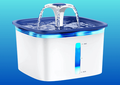 smart water fountains for dogs