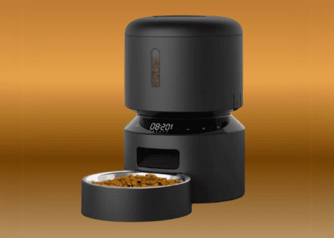 the best automatic dog feeders
