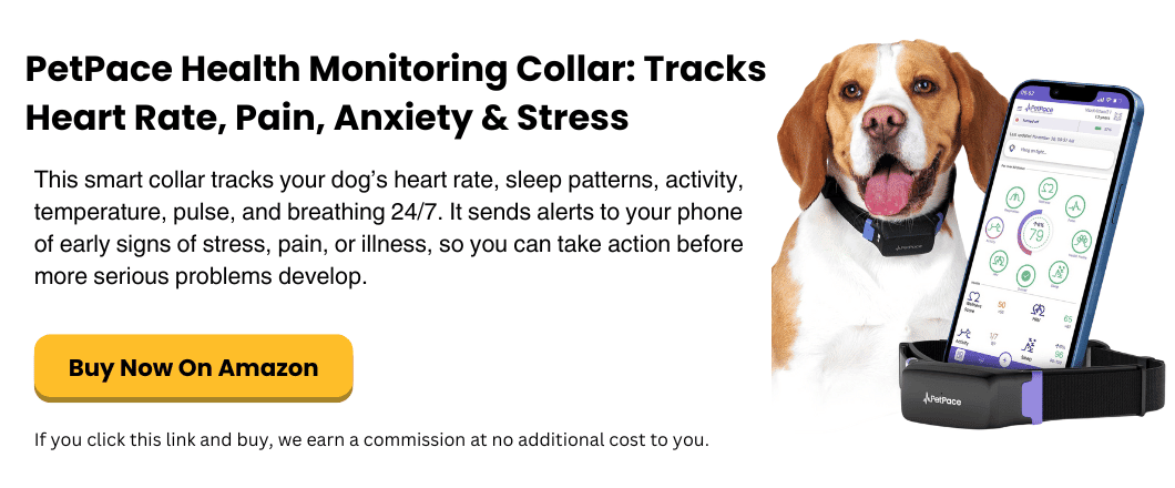 PetPace Health Monitoring Collar Tracks Heart Rate, Pain, Anxiety & Stress