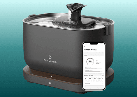 simplysmartpettech.com The Best Smart Water Fountains For Cats
