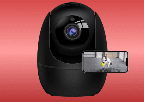 simplysmartpettech.com best smart pet cameras for dogs smart dog camera next to smartphone displaying live video feed of dog for pet monitoring