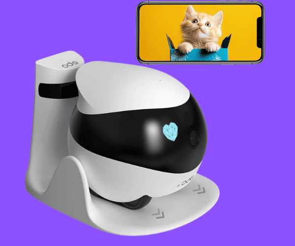 best smart cameras for cat owners Smart cat camera with mobile phone showing live cat video feed on screen