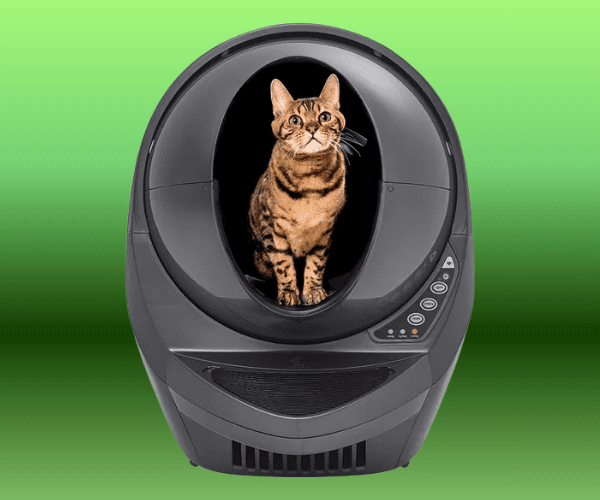 smart cat litter box header brown tabby cat sitting comfortably in a modern self-cleaning litter box with automatic rake mechanism