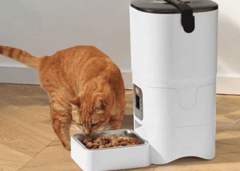 the ultimate guide to smart cat feeders