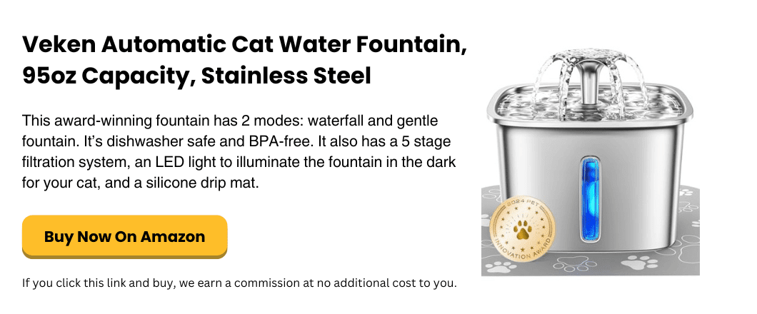 cat water fountain for separation anxiety
