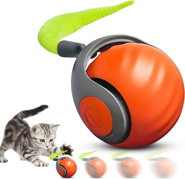 Gray tabby cat playing with interactive smart ball toy as one of many excellent smart cat toys