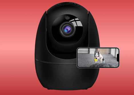 smart dog cameras more reading