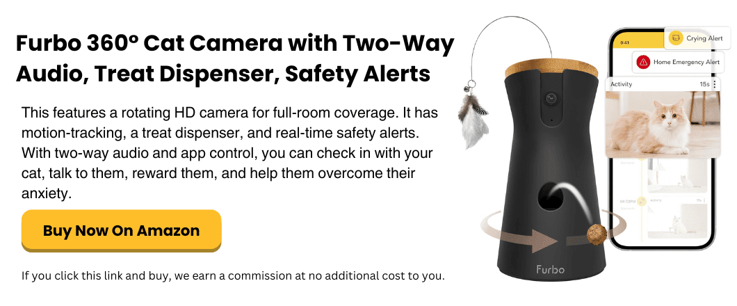smart pet camera for separation anxiety