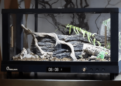 A Guide To The Best All-In-One Smart Terrarium Kits