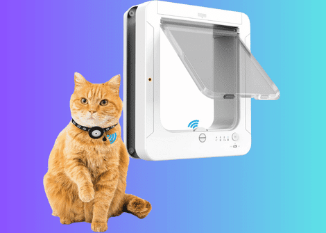 All you need to know about smart cat doors