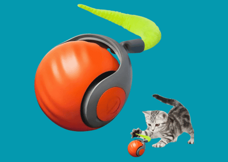 How Smart Cat Toys Stimulate Your Cat’s Mind and Body