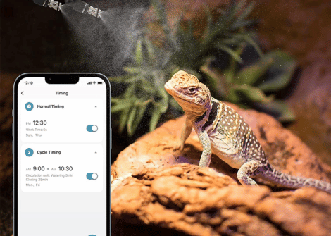 Should You Get A Smart Reptile Misting System