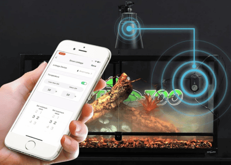 Smart Lighting Systems For Terrarium Owners