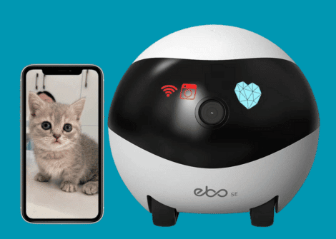 The Ultimate Guide To Smart Cat Cameras