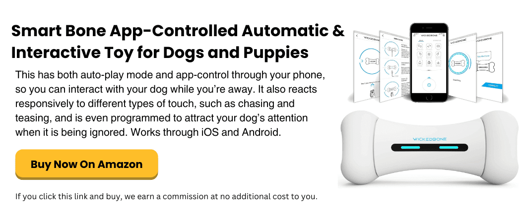 best app connected interative toy for dogs