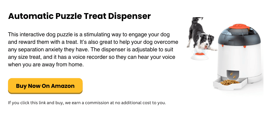 best interactive puzzle feeder for dogs