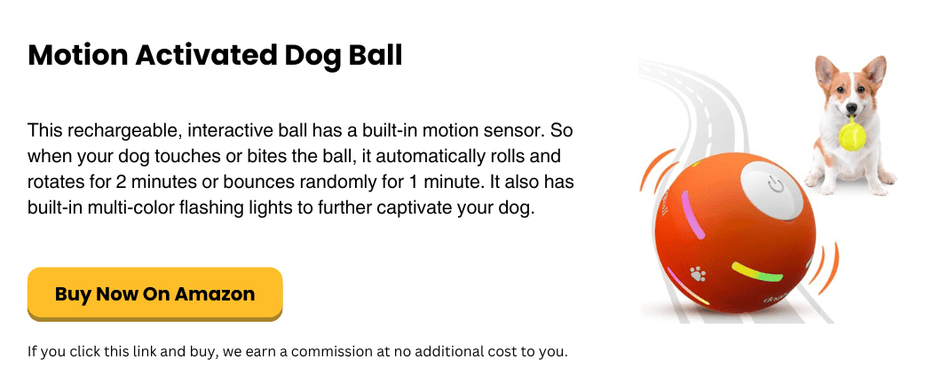 best motion activated play toy for dogs