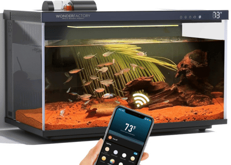 how smart tech can help fish owners
