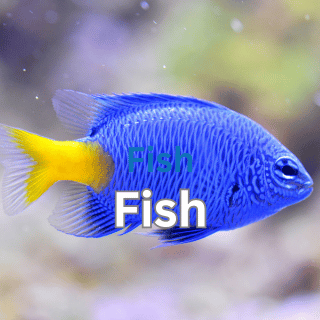 simplysmartpettech.com Fish Articles