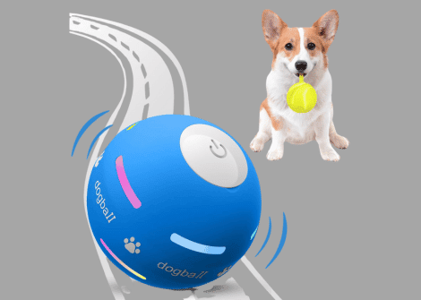 smart tech toys for dogs