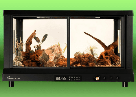 Smart Terrarium Buying Guide A Complete Guide for Reptile Owners a comprehensive guide to smart terrariums for reptile owners
